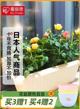 长方形花盆长条型阳台专用花槽家里种植箱蔬菜盆塑料盆栽种菜盆