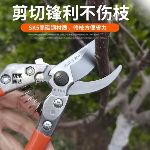 台湾佐川吉新款860园艺剪刀手剪园林修枝剪果树剪整枝采果剪花剪