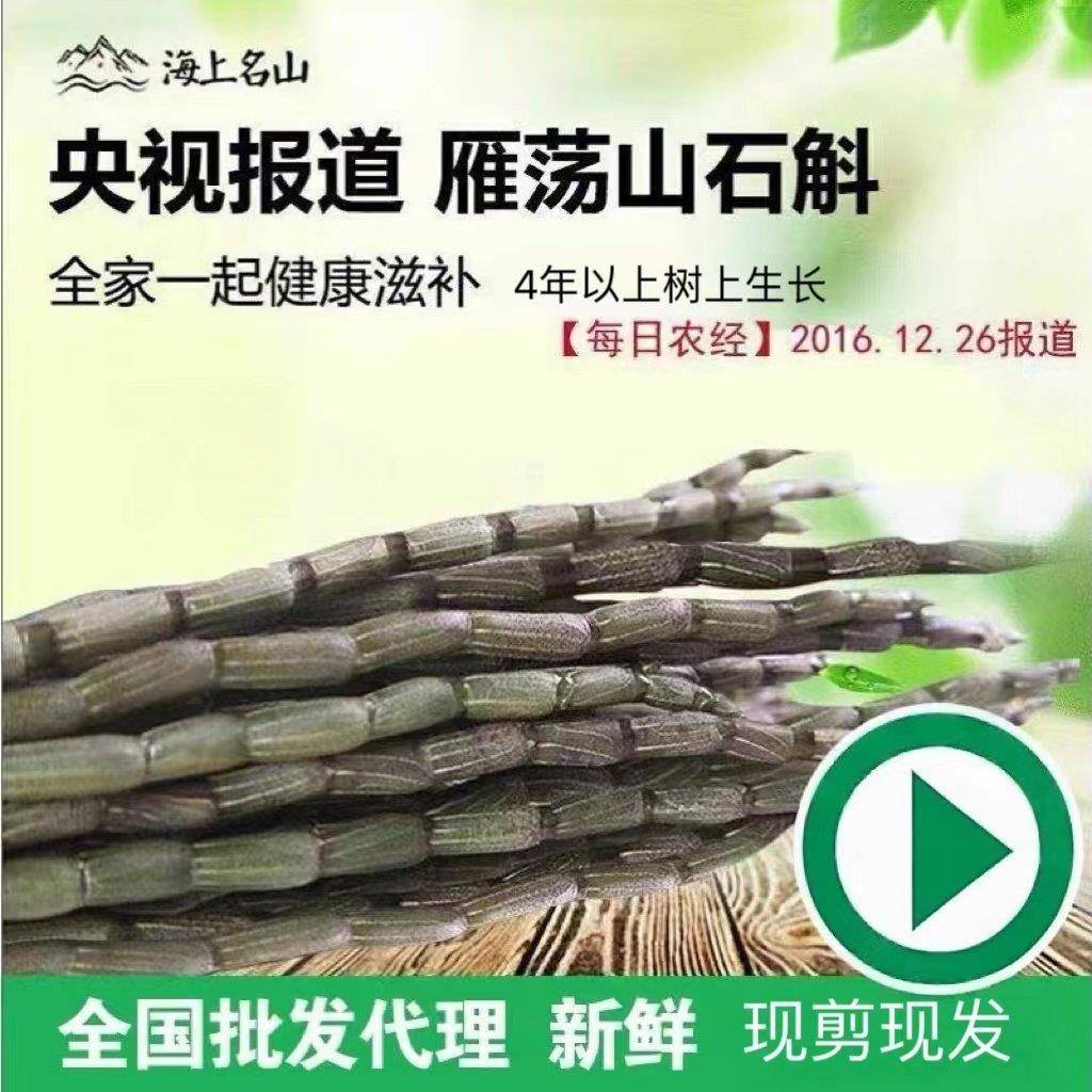 铁皮石斛 鲜条4年 原生态 雁荡山铁皮枫斗干花霍山源种