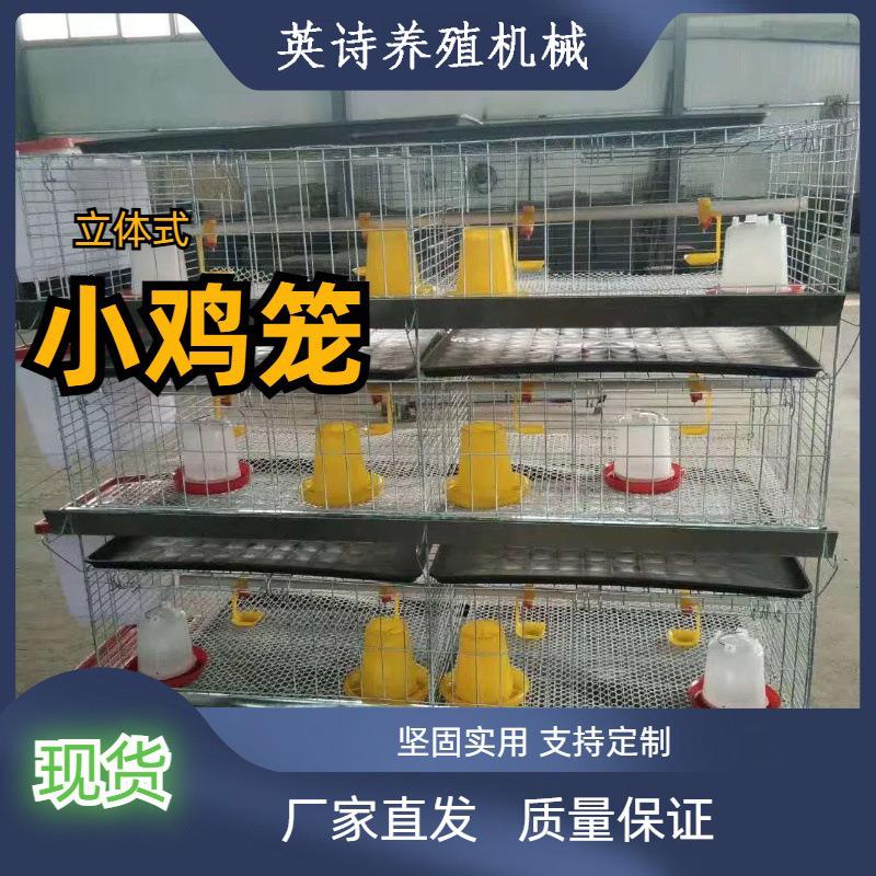 雏鸡育雏设备厂家鸡舍养殖厂H型四层小鸡笼现货外贸安装方便价低