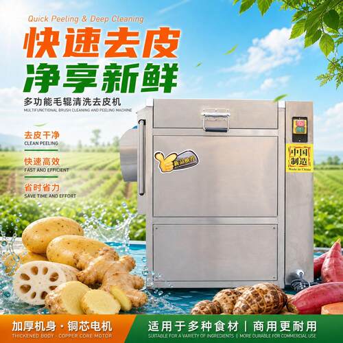 严选全自动清洗削皮机毛辊土豆山清洗脱皮机自动毛刷去皮清洗机