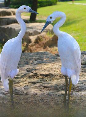 新型模拟白鹭羽毛花园窗创意装饰湿地水鸟动物模型教学摄影道具