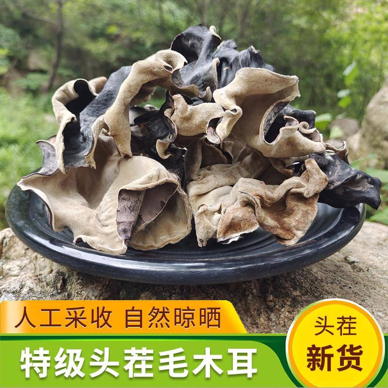 头茬毛木耳干货白背毛木耳脆木耳肉厚食用地耳大木耳500g非黑木耳