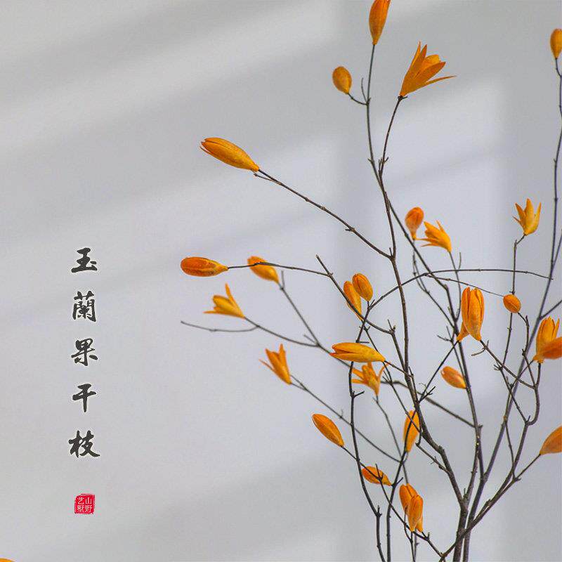 山野艺墅玉兰花干树枝长枝枯天然风干花枝禅意侘寂风客厅装饰摆设