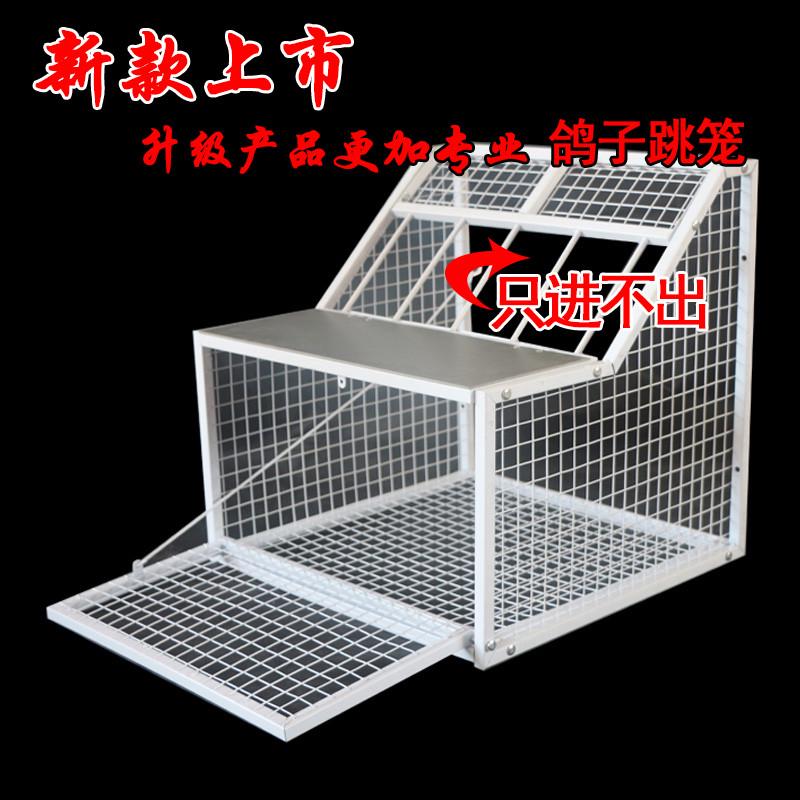 鸽子跳笼 信鸽赛鸽用品用具 鸽棚鸽舍进口 只进不出跳笼 放飞笼门