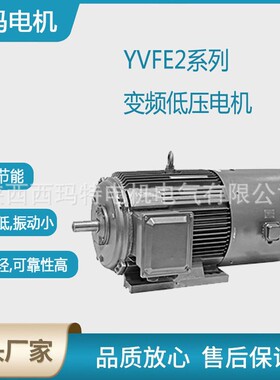 西安泰富电机YV2-100L2-4极3W低压变频交流三相异步电动机