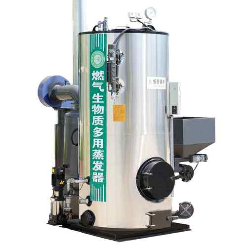 锅炉厂家供应桥梁养护食品加工灭菌酿酒加热水池生物质蒸汽发生器