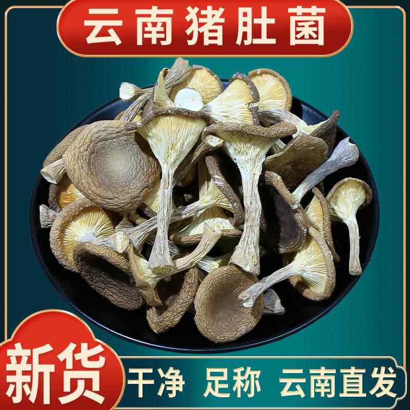 猪肚菇干货猪肚菌500g山珍土特产香菇云南菌子非野生食用菌煲汤