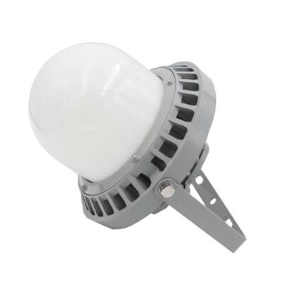 DSF）ZY-WG921 微波感应 100W 5700K IP66 LED平台灯LED泛光灯化