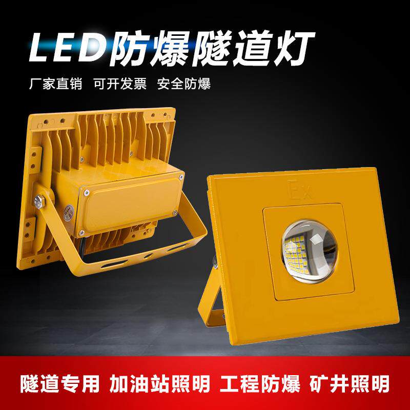 低压隧道灯led防爆灯仓库户外灯100W加油站船用12V24V36V投光灯