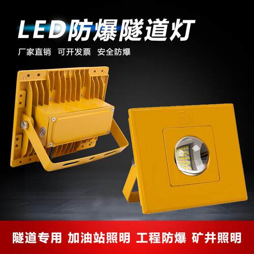 低压隧道灯led防爆灯仓库户外灯100W加油站船用12V24V36V投光灯