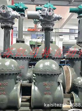 凯司特ZB20-24MZ941H-25C-DN200电压AC660V矿用隔爆型电动闸阀