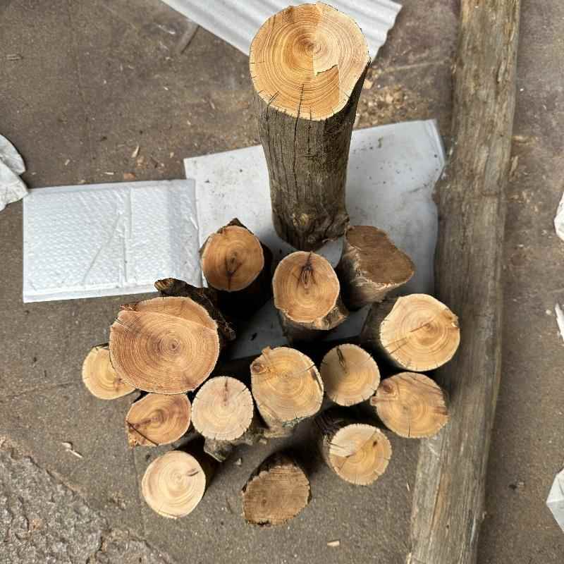 崖柏高油圆柱边角料新手练手品香料手把件料行状不一随机发货