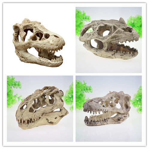 鱼缸恐龙/ 厂家水草树脂摆件头骨直销装饰水族箱 树脂鱼缸造景 造