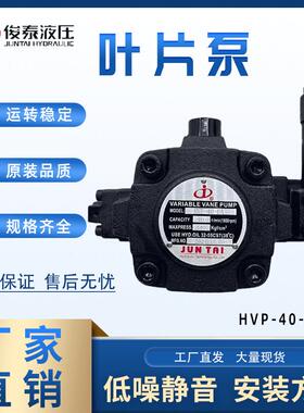 JUNTAI俊泰液压油泵叶片泵HVP-30-FA3HVP-40-FA3中高压叶片泵