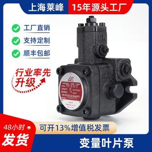 D液压油泵泵头低压液压泵低噪音液压站配件 vp变量叶片泵VP