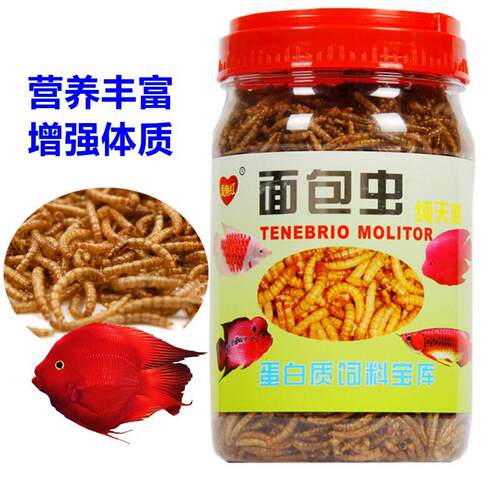 爱鱼红面包虫鱼干食八哥鹩哥画眉鸟食仓鼠观赏鱼乌龟虫干黄粉虫干