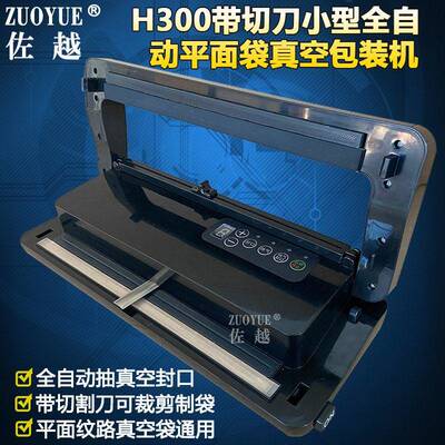 H2平00带切刀小型MAGA-102全自动面袋真空包装机 食品光袋面抽口