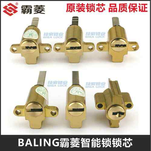 BALING/思泰锁芯指纹智能锁酒店门锁宾馆异形锁头电子门锁芯