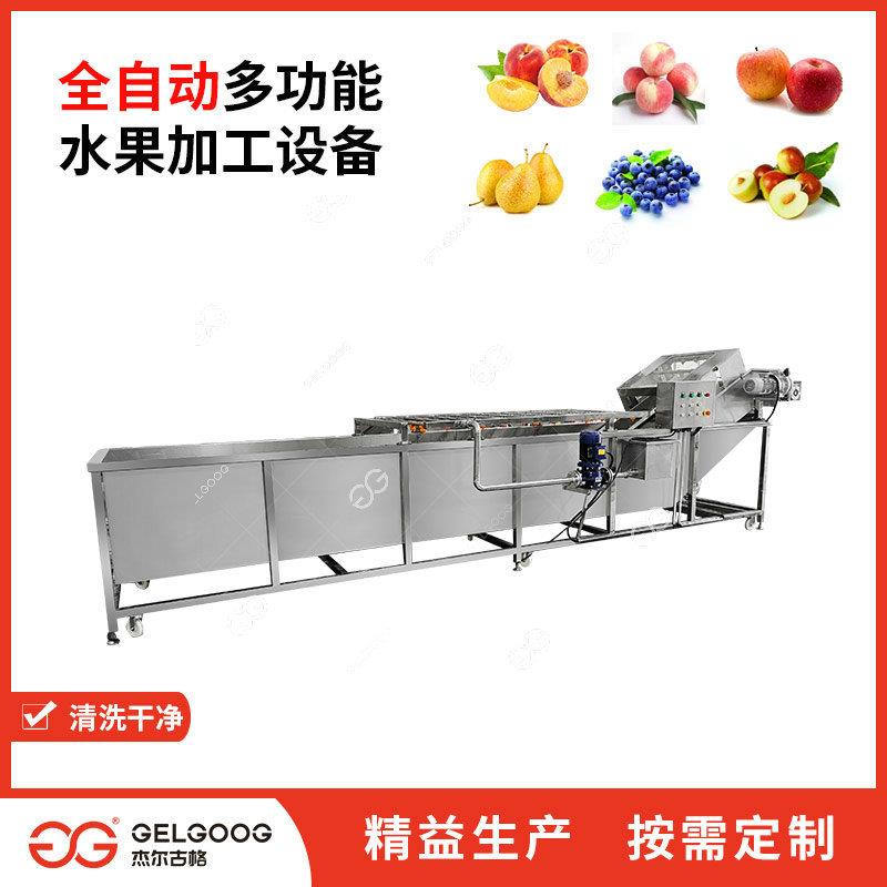 全自动洗枣机水果净果清洗风干加工线设备洗果机红枣清洗机