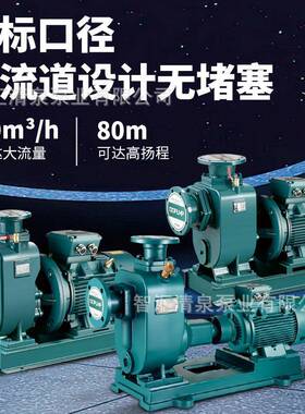 BZ直联式自吸泵农用灌溉清水泵耐高温DN100卧式离心抽水泵