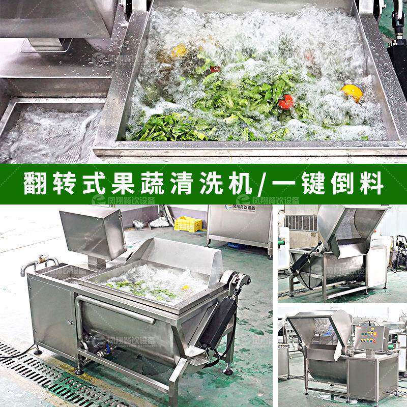 工厂直销一键倒料果蔬清洗机翻转式单槽洗菜机食品加工清洗