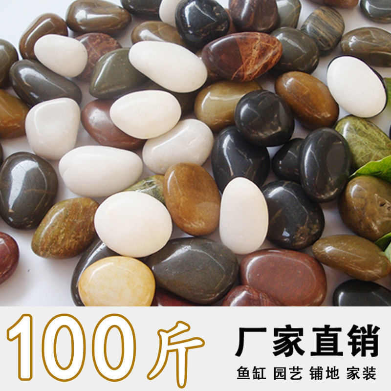 100斤天然精品雨花石庭院铺路七彩造景鹅卵石纯天然石子装饰石