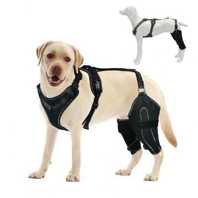 Mobility Aid for Dogs with Joint Problems Dog Knee Brace