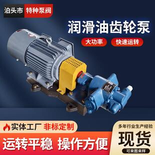润滑油齿轮泵轮工业机械润滑泵式自吸齿油泵流量稳定厂家直供