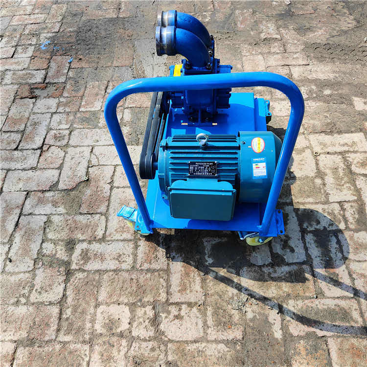 泥浆泵猪粪式抽养殖场机化粪池高专用吸扬程粪排污自泵抽家用清理,收纳整理,抽气泵,淘宝优惠券,粉丝福利购,淘宝优惠卷