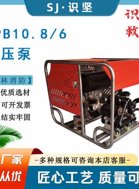 25马力大功率灭火泵180L/min大流量机动泵便携手电双启动抽水泵