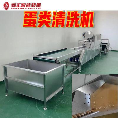 鸡蛋鸭粪便泥灰清洗机蛋鸡养殖场用清蛋洗洗线大型RSE蛋自动化蛋