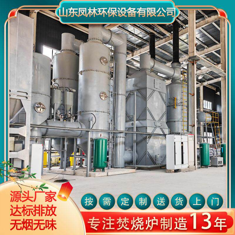 大型生活垃圾焚化炉 乡镇校园垃圾焚烧炉 高温热解垃圾焚烧炉