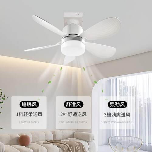 新款大风力风扇灯螺口家用厨房餐厅吊灯客厅卧室吊扇灯吸顶风扇灯