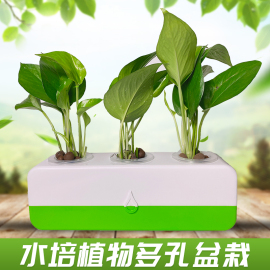 无土栽培蔬菜种植箱水培植物花盆室内水养绿萝花卉创意桌面盆栽