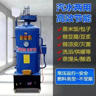 加厚无压蒸汽锅炉燃煤锅炉 茶浴锅炉豆腐凉皮 热水锅炉