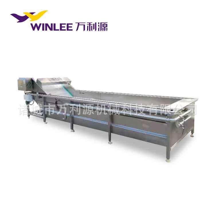 全自动果蔬气泡清洗设备蔬菜清洗机蘑菇清洗机