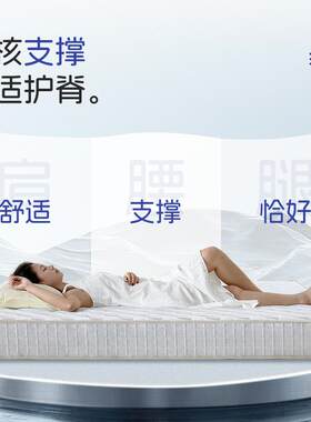 乳胶酒店民宿席梦思床垫家用租房硬椰棕弹簧床垫宿舍床垫佛山工厂