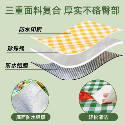 Thickened camping lawn outdoor waterproof park picnic mat