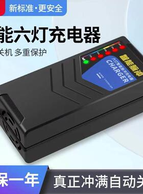 红旗适用智能脉冲断电关机型48V12AH60V20AH72伏电动车铅酸充电器