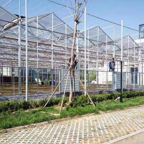 纹络智能玻璃温室聚碳酸酯pc阳光板蔬菜大棚农业花卉观光展厅温室