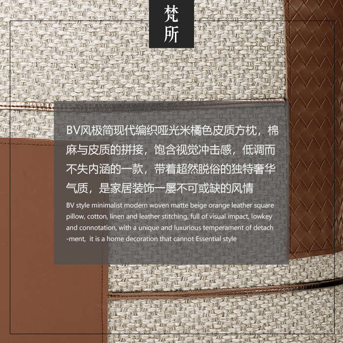 GZ6MFANCY轻奢简约现代样板房客厅沙发设计师靠垫米橘色装饰