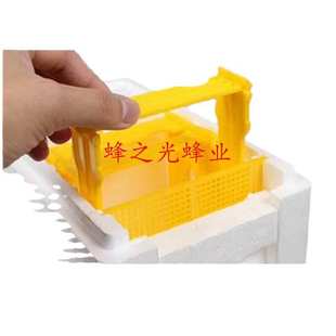 蜂箱蜜蜂交尾箱 中蜂意蜂育王储王泡沫蜂箱 高密度泡沫蜂王交尾箱