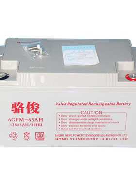 骆俊蓄电池12V6H 6GFM-6H 直流屏 UPS应急电源长寿命质保三年