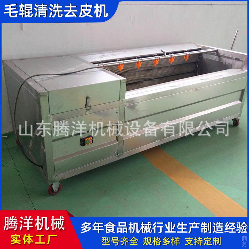 烧焦猪脸清洗设备十根毛刷清洗机土豆毛辊去皮毛刷清洗机