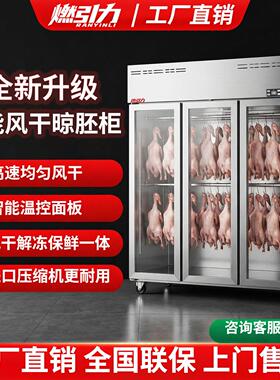 燃引力商用智能晾鸭柜乳鸽烧腊烘干机晾胚凉烤鸭风干柜风冷吹鸭柜