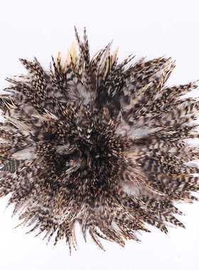 厂家批发青芦花鸡毛4-6英寸DIY羽毛鸡毛芦花鸡毛饰品配件挂饰