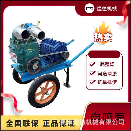 防汛排污泵养殖场抽粪河道清淤电机抽水泵