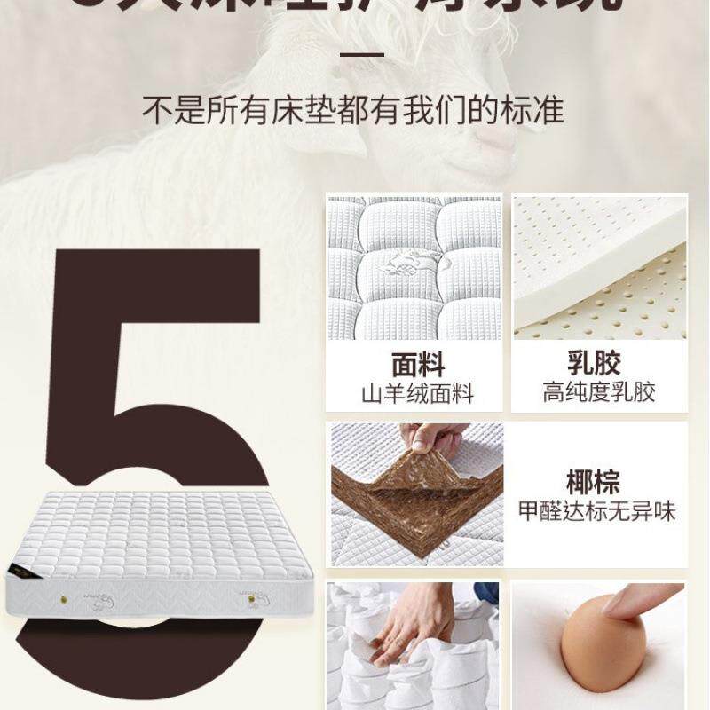 席梦思床垫家用卧室乳胶软垫20cm厚硬椰棕1.5米租房专用弹簧床垫