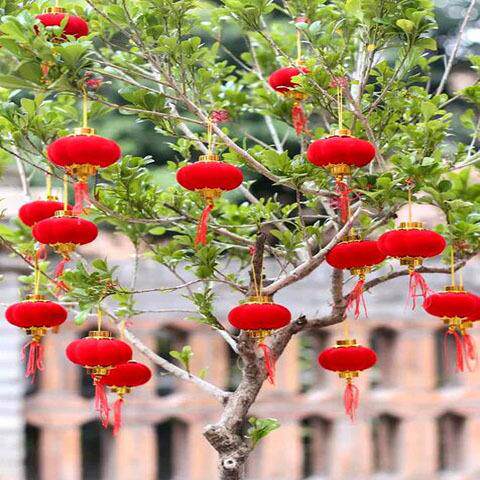 盆景花卉装饰 小灯笼植绒小灯笼元旦结婚场景布置喜庆灯笼
